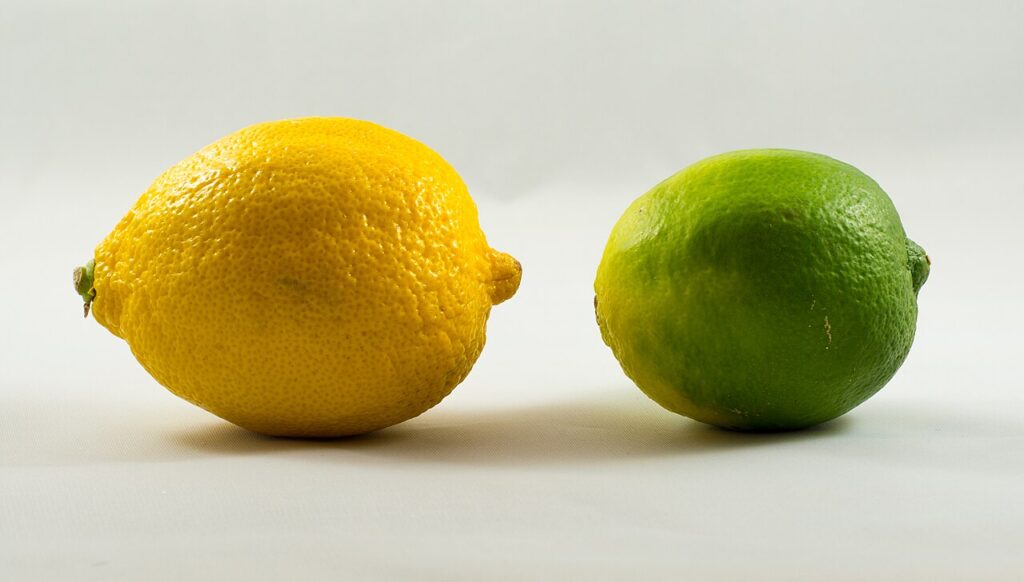 Lo que nadie te cuenta de una formación en marketing digital (y sí, hay limones)